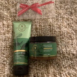 Bath and Body Works Eucalyptus Spearmint Stress Relief Aromatherapy Duo NWT